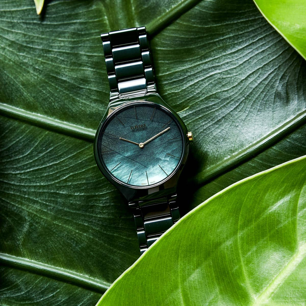 Rado True Thinline Nature 2018 Green